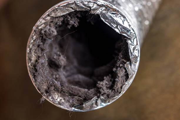 Best Home Air Vent Cleaning  in Lansdowne, PA